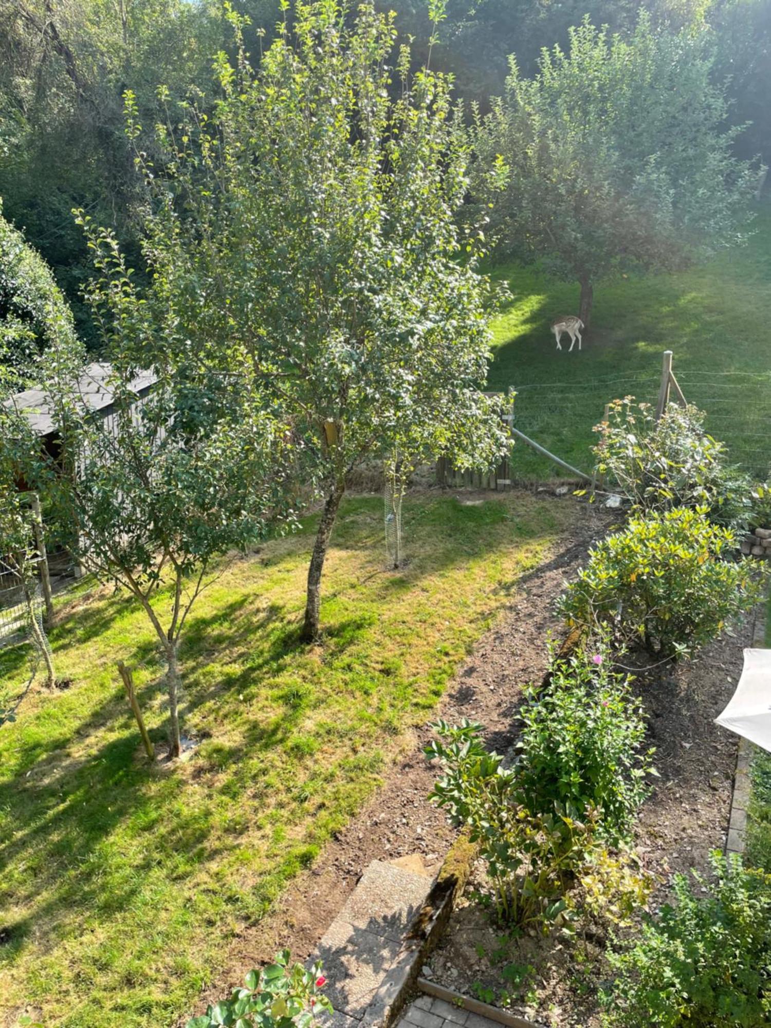 Deni's Appartement